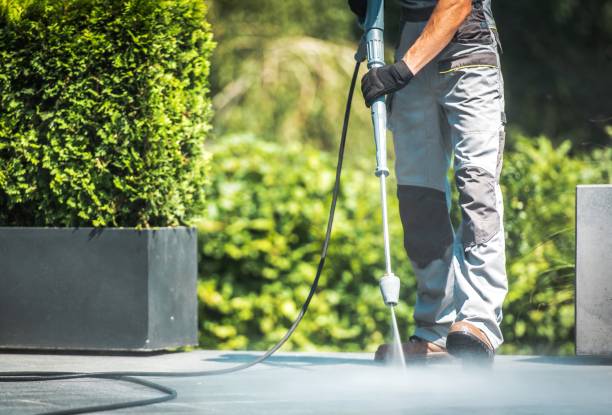 Best Dumpster Area Cleaning  in Sands Point, NY